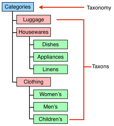 Taxonomy Tree